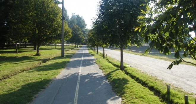 El fenómeno de las bicisendas El fenómeno de las bicisendas
